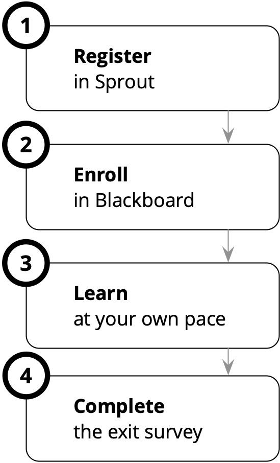 a flowchart describing the process of completing eLearn On Demand workshops